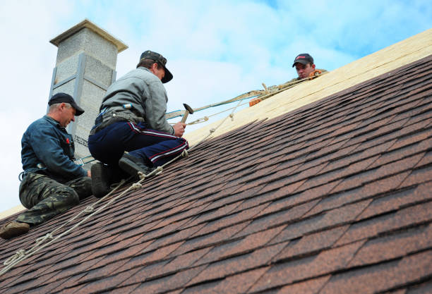 Best Roof Repair Services  in Beloit, OH